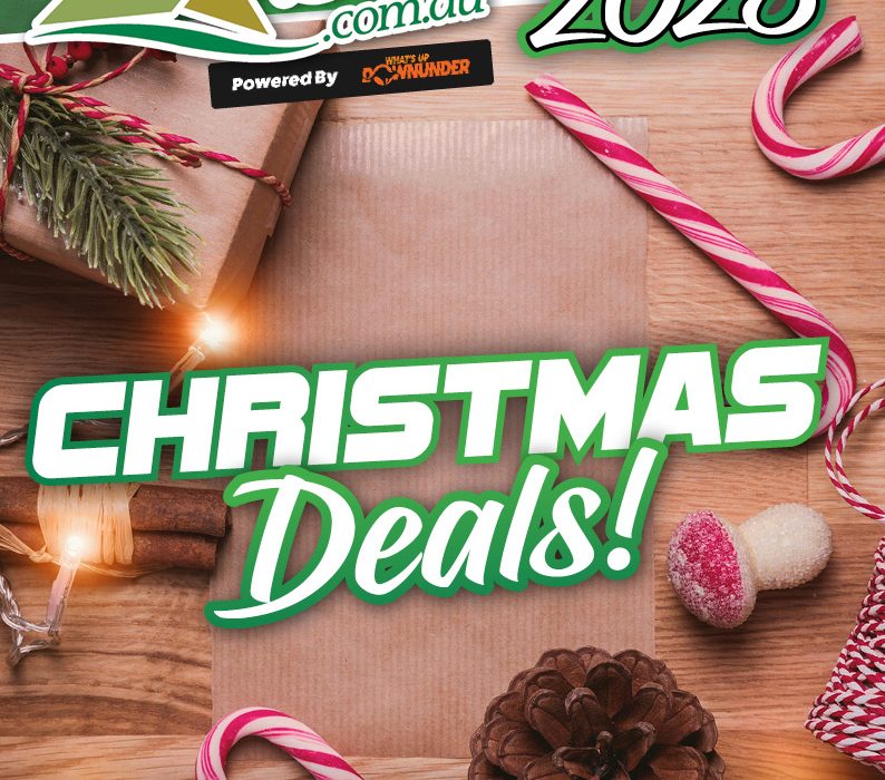 Christmas Buyer’s Guide 2025